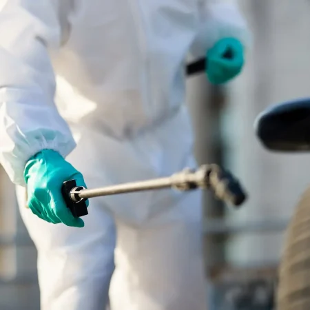 مكافحة الحشرات المنزلية - شركة مكافحة حشرات - شركة تطهير المنازل من الحشرات - تطهير المنازل من الحشرات المنزلية - شركة تنظيف ومكافحة حشرات