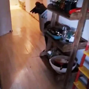 شركة تنظيف بعد التشطيب - شركة نظافة ما بعد التشطيب - تنظيف ما بعد التشطيب - شركة تنظيف فلل بعد التشطيب